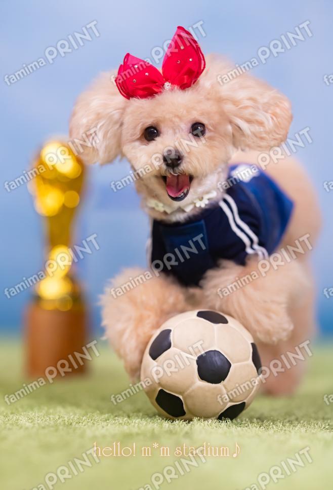 Hello! Mocha's Soccer Mail♪ Go Go