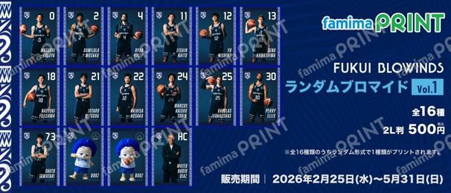 福井ブローウィンズ 選手ランダムブロマイドver.1