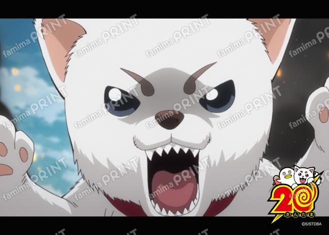 アニメ銀魂全367話振り返り(55)06