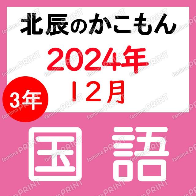 2024年度北辰テスト３年７回国語