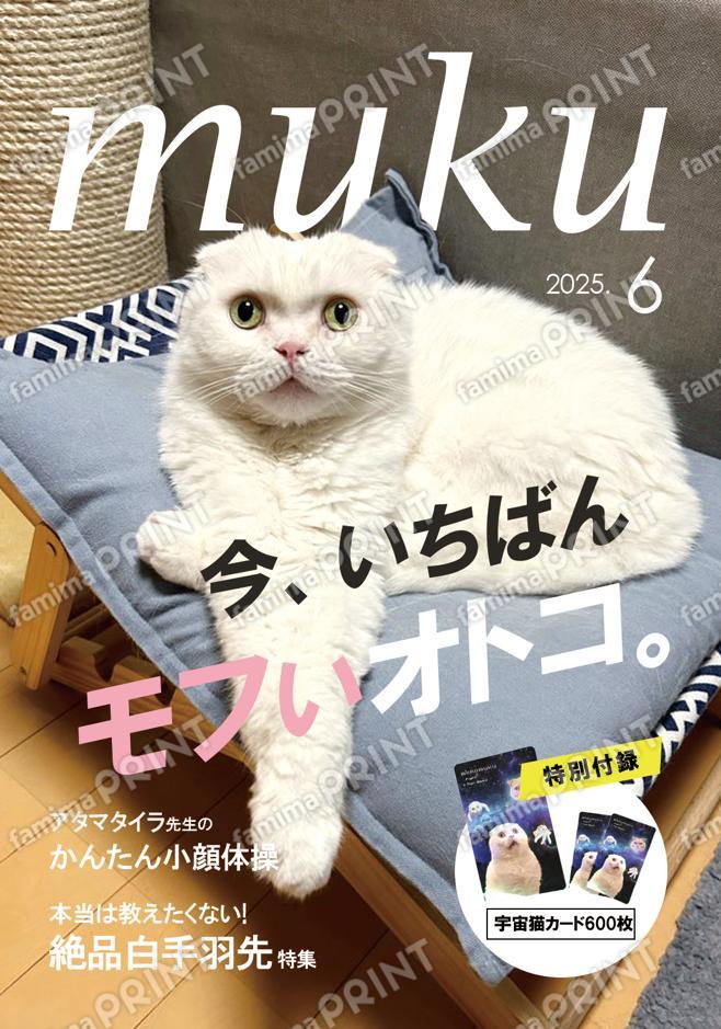 もろとむく＠まるか_人気雑誌