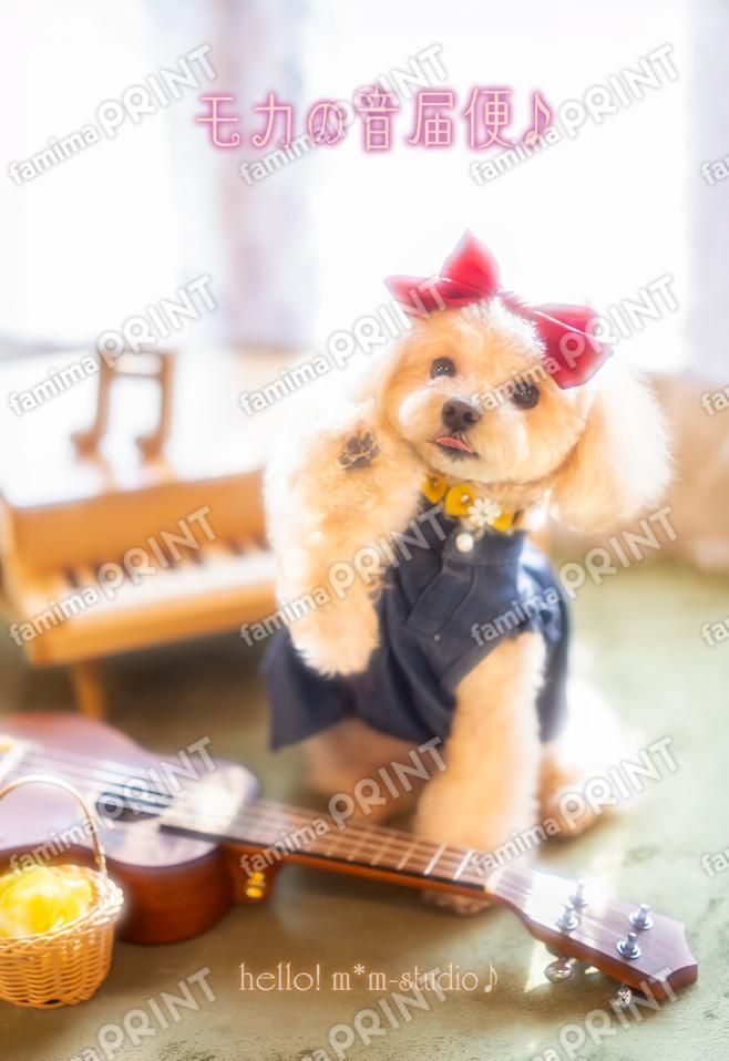 ハロー！モカの音届便♪A-1