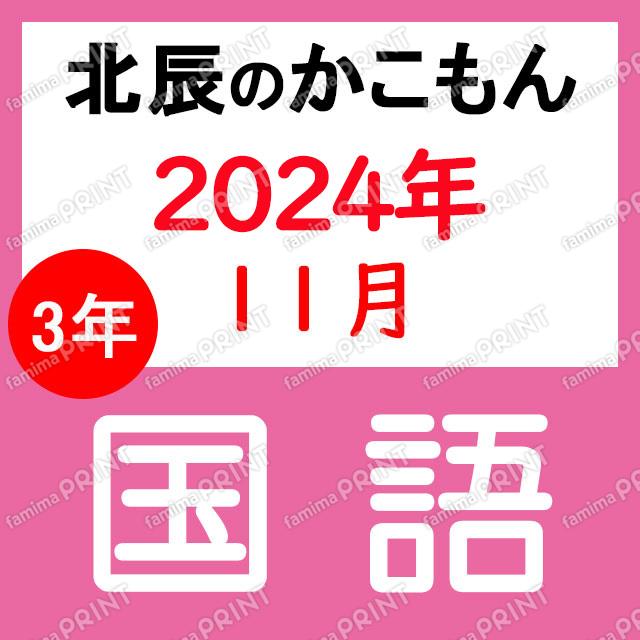 2024年度北辰テスト３年６回国語