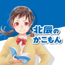 北辰図書 北辰テスト過去問