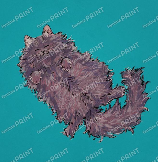 秋葉こう_仰向け猫