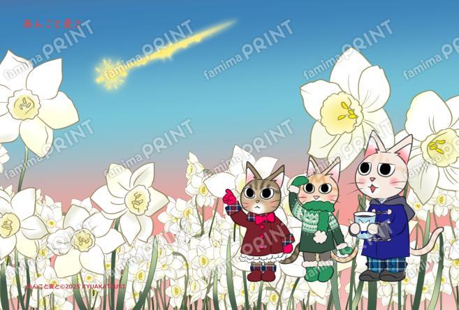 あんこと麦と季節のハガキ水仙