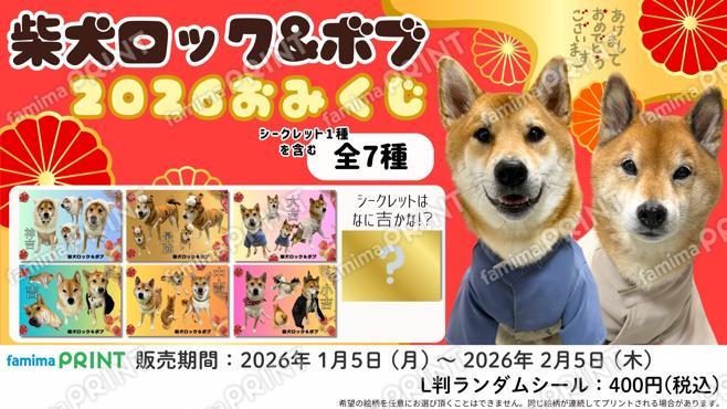 柴犬ロック&ボブ2026おみくじランダムシール