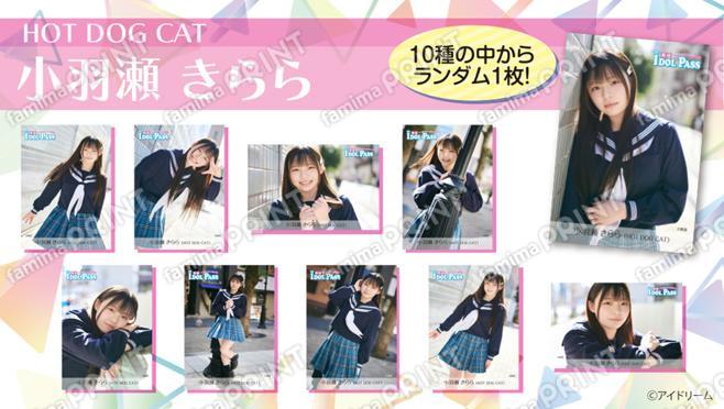 楽遊IDOL PASS vol.24発行記念　小羽瀬 きらら(HOT DOG CAT) ランダムブロマイド