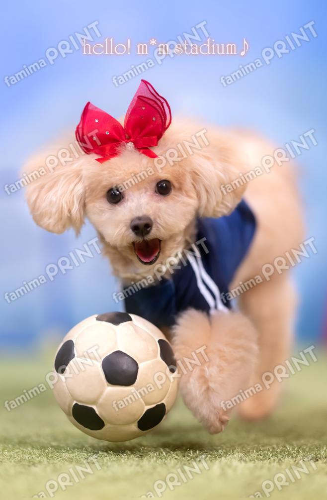 Hello! Mocha's Soccer Mail♪ Dribbling