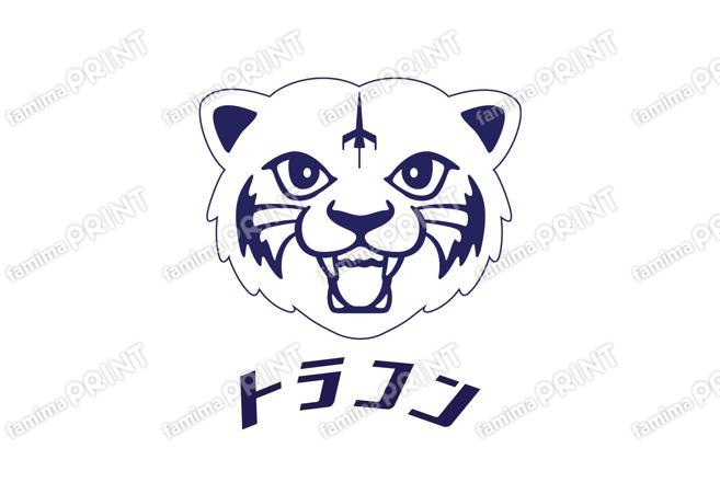 TRANS CONTINENTS 虎コン アウトライン