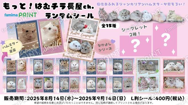 もっと！はむチラ長屋ch.ランダムシール