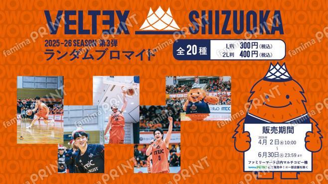 ベルテックス静岡2025-26