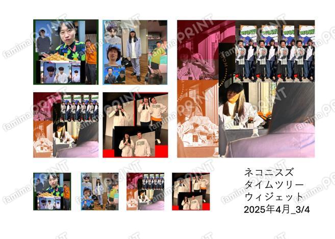 ネコニスズTimeTreeウィジェット画像4月03
