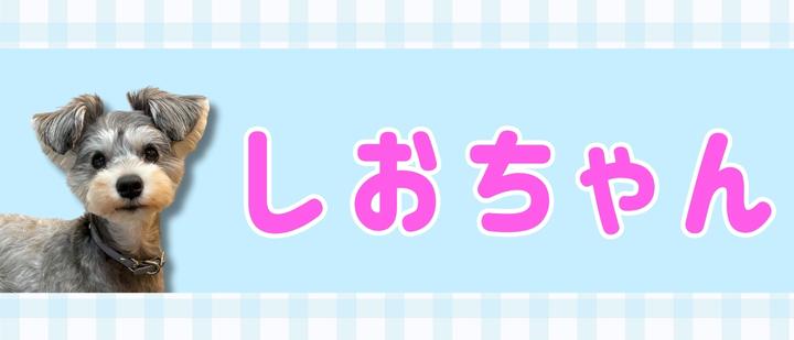 しおちゃん