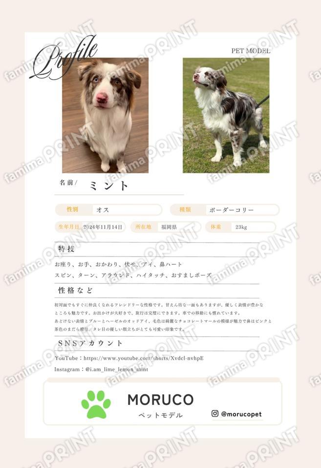ミント＿プロフィールシート