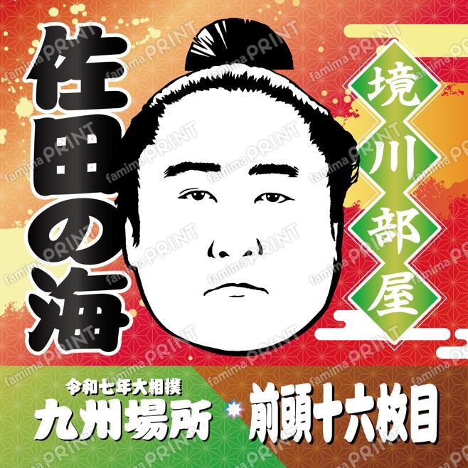 前頭十六枚目　佐田の海_SQ