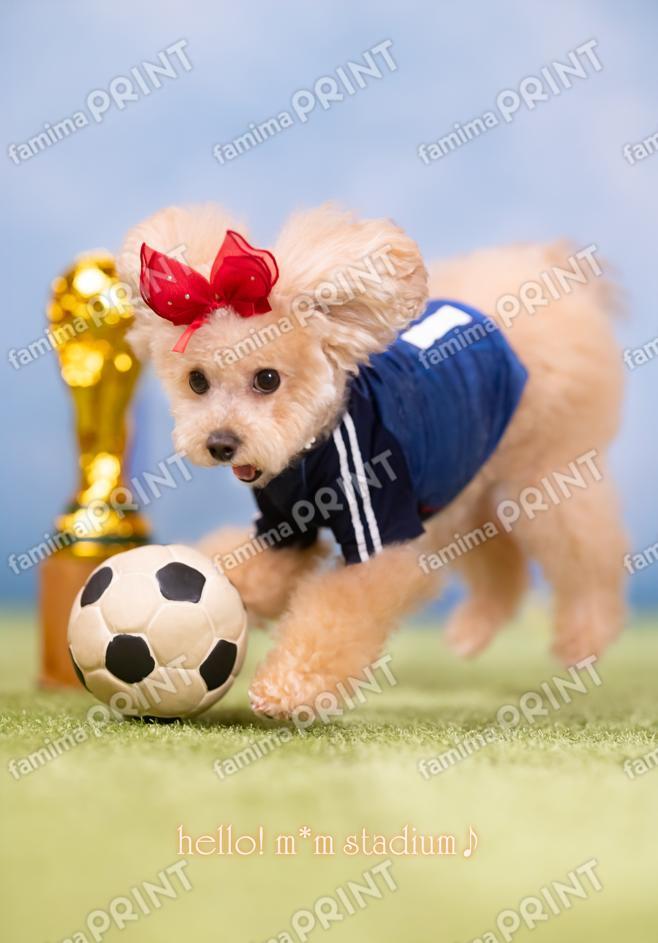 Hello! Mocha's Soccer Mail ♪ Counter