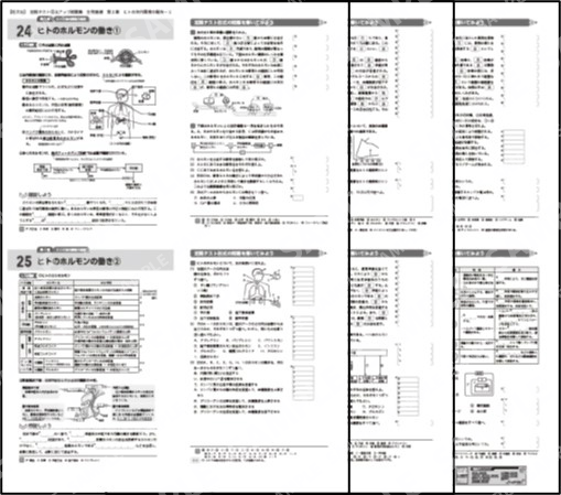 生物基礎_第２章_ヒトの体内環境の維持２