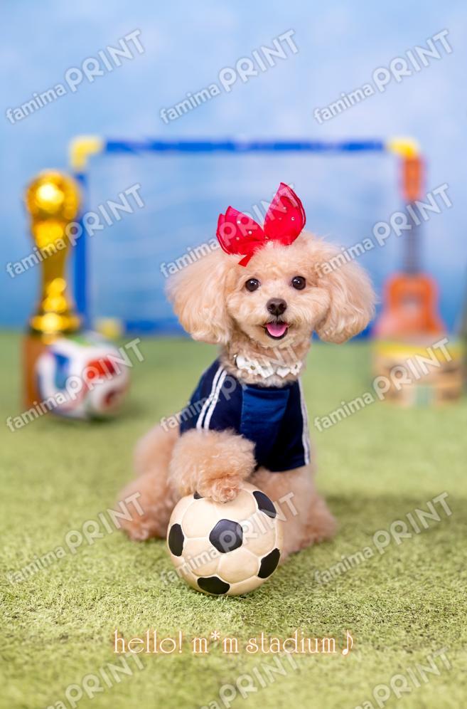 Hello! Mocha's Soccer Mail♪ Kick-off