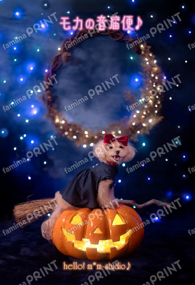 Hello! Mocha's Sound Delivery Service ♪ Halloween Edition 3