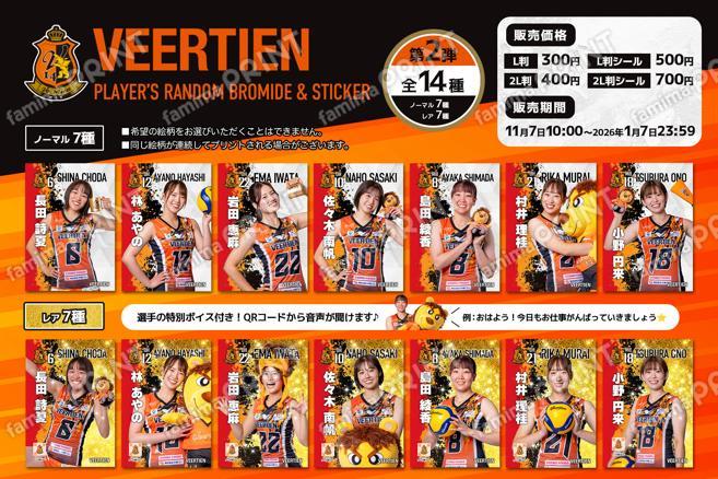 ヴィアティン三重女子バレーボール ランダムブロマイド＆シール第2弾