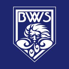 福井ブローウィンズ 選手ブロマイド