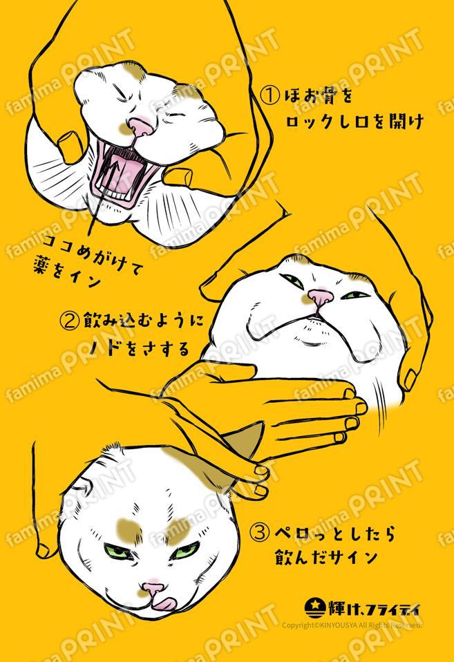 輝け、フライデイシール_08