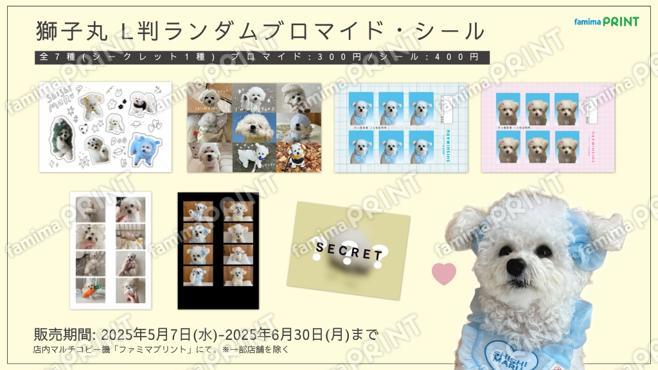 獅子丸_ランダムブロマイド・シール