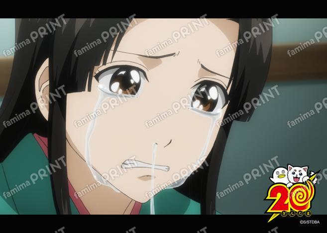 アニメ銀魂全367話振り返り(45)30