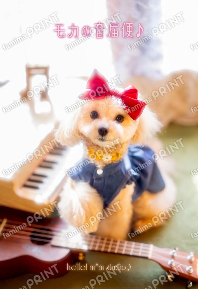 ハロー！モカの音届便♪A-2