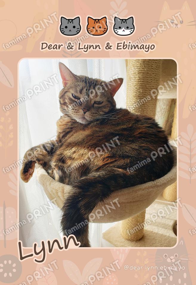 Dear&Lynn&Ebimayo_凛01