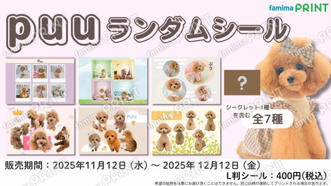 puuランダムシール