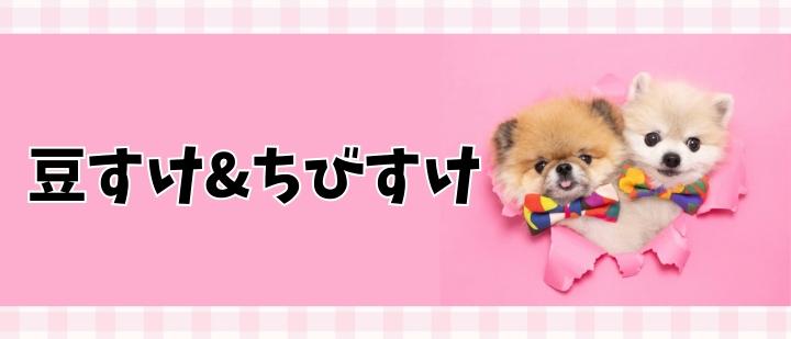 豆すけ&ちびすけ