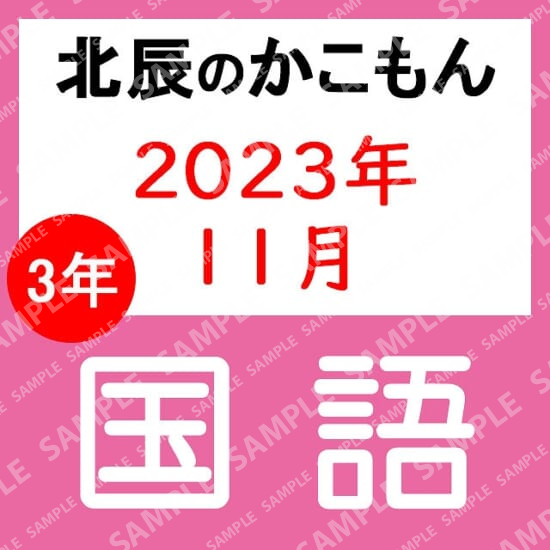 2023年度北辰テスト３年６回国語