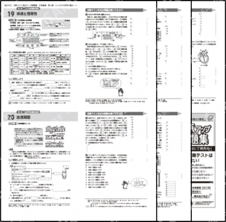 生物基礎_第２章_ヒトの体内環境の維持１