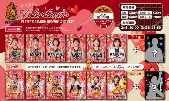 ヴィアティン三重女子バレーボール ランダムブロマイド＆シール