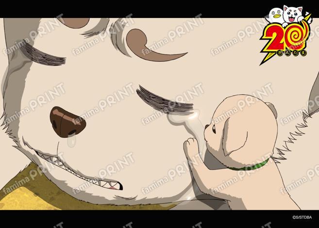 アニメ銀魂全367話振り返り(39)39