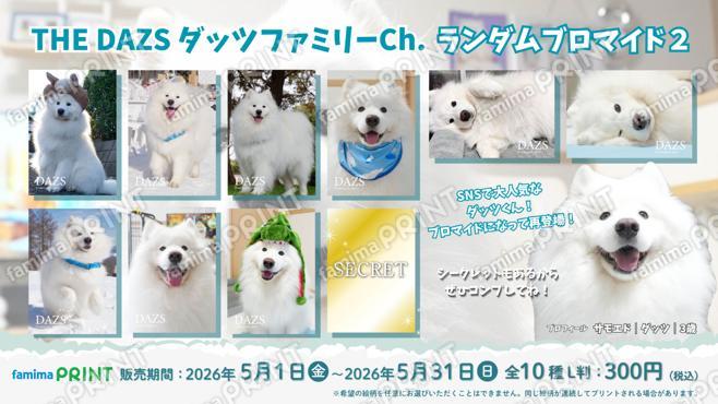 THE DAZS ダッツファミリーCh.ランダムブロマイド